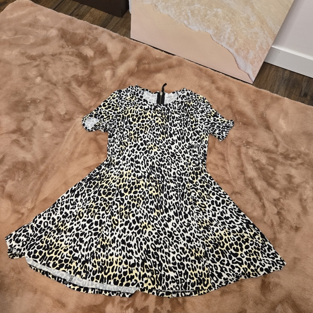 Zara Leopard Print Flare Dress